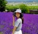 Nữ sinh đạt điểm tuyệt đối 3 môn, ĐH top 1 gọi điện mời nhập học trong đêm nhưng bị cô từ chối khiến ai cũng ngỡ ngàng