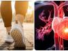 Những kiểu đi bộ giúp cơ tim khoẻ mạnh