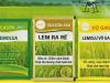 LEMOLUA – CỰC PHẨM CHO CÂY LÚA