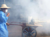 Hiểu rõ về virus Chikungunya: 7 ngày ủ bệnh, 5 triệu chứng và 3 bước điều trị tại nhà