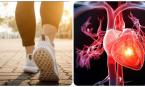 Những kiểu đi bộ giúp cơ tim khoẻ mạnh
