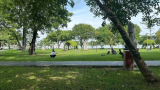 Vụ khách Tây rơi nhẫn, người dân đổ xô tìm giúp ở Huế: Bất ngờ giá trị thật của chiếc nhẫn