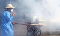 Hiểu rõ về virus Chikungunya: 7 ngày ủ bệnh, 5 triệu chứng và 3 bước điều trị tại nhà