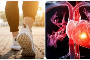 Những kiểu đi bộ giúp cơ tim khoẻ mạnh