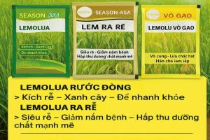 LEMOLUA – GIẢI PHÁP MỚI CHO LÚA VIỆT VƯƠN XA