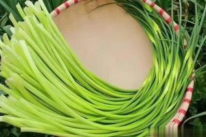 5 loại rau quả mùa hè nên tránh, ngay cả người bán cũng lắc đầu từ chối