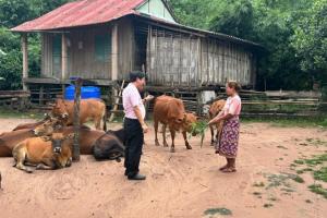 Quảng Trị: Gần 6 tỷ đồng hỗ trợ bà con DTTS Ma Coong phát triển kinh tế