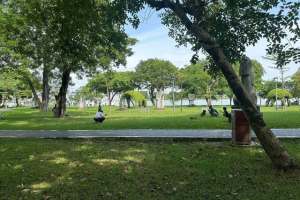Vụ khách Tây rơi nhẫn, người dân đổ xô tìm giúp ở Huế: Bất ngờ giá trị thật của chiếc nhẫn