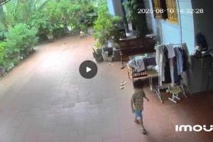 Thi thể bé trai 5 tuổi mất tích được tìm thấy trên sông cách nhà khoảng 60 km