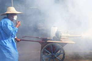 Hiểu rõ về virus Chikungunya: 7 ngày ủ bệnh, 5 triệu chứng và 3 bước điều trị tại nhà