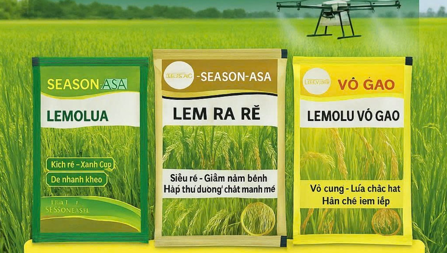 LEMOLUA – CỰC PHẨM CHO CÂY LÚA