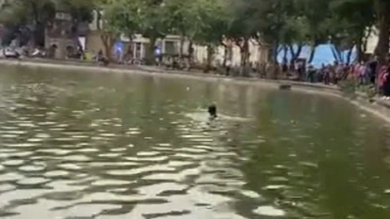 Điều tra vụ cô gái lội  xuống hồ Hoàn Kiếm tử vong