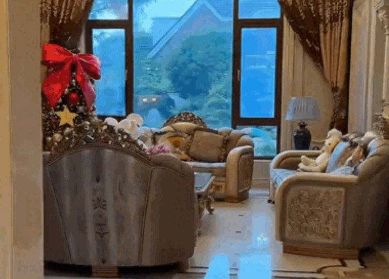 Phú bà sống trong biệt thự 185 tỷ: Lộng lẫy đến mức sang chấn thị giác, Google cạn từ khen