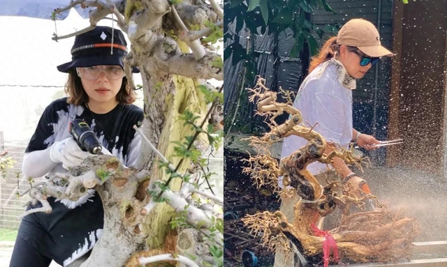 nguoi-phu-nu-u50-bo-viec-luong-cao-ve-choi-cay-voi-bo-ung-thu-bien-nghe-bonsai-it-ai-biet-thanh-su-menh-doi-minh-2461.html