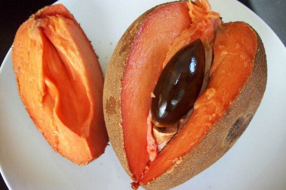 Loại quả xưa không ai biết, nay thành đặc sản bổ như nhân sâm, giá ngất ngưởng 400.000 đồng/kg