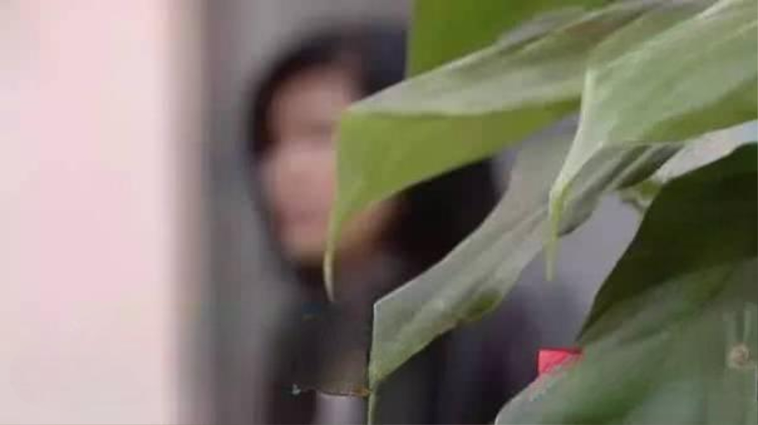 Người phụ nữ mua BĐS 280m2 giá 4 tỷ đồng nhưng được đền bù 55 tỷ lại chẳng chịu di dời: “Tại sao không phải 110 tỷ?”