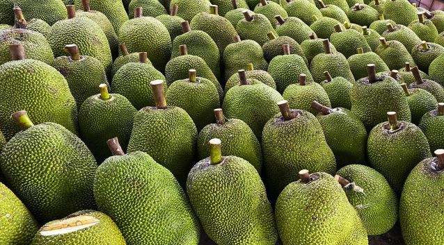 1 loại trái cây của Việt Nam chính thức được xuất khẩu chính ngạch sang Trung Quốc: Nông dân thu lợi lớn!