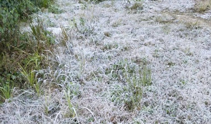 Nhiệt độ dưới 0 độ C gây băng giá ở miền núi Nghệ An , người dân lo lắng