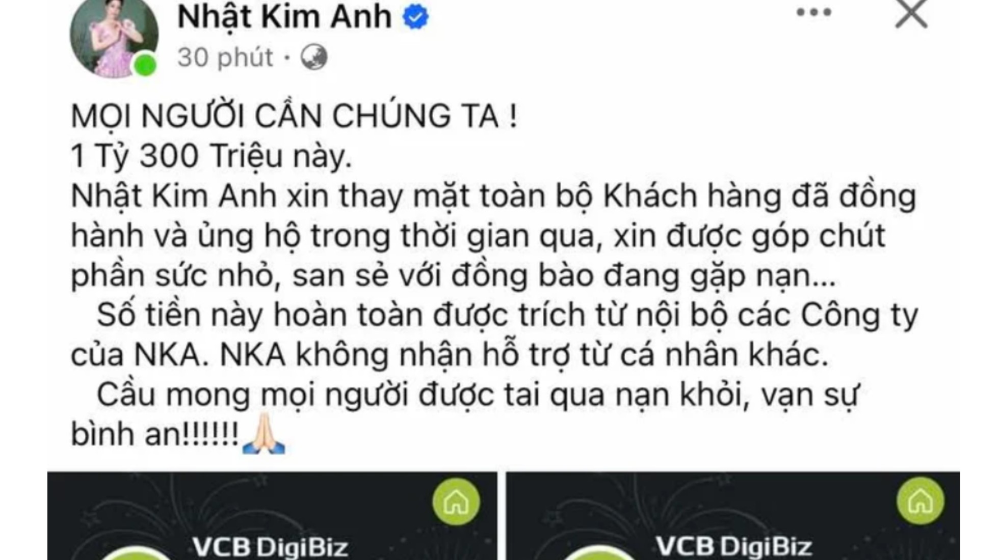 Nhật Kim Anh phản bác tin đồn bị bắt tại sân bay trên trang Facebook tick xanh