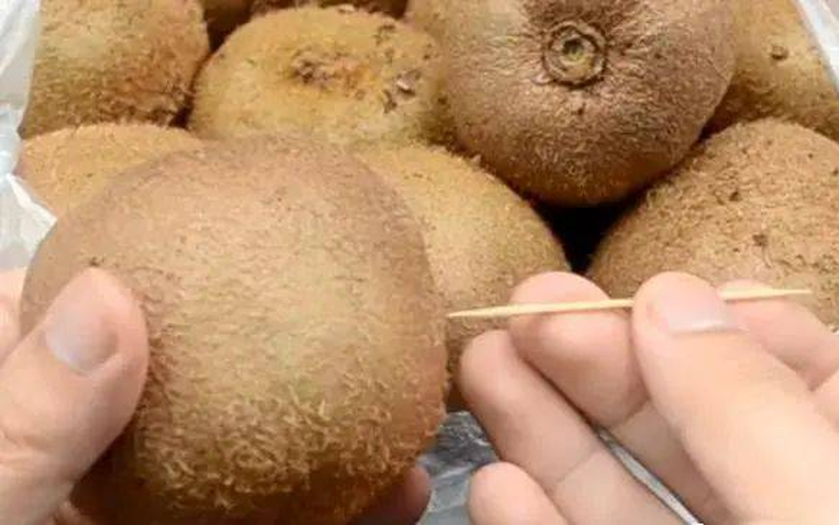 Mẹo cắm tăm vào kiwi giúp trái cây chín nhanh và ngọt hơn