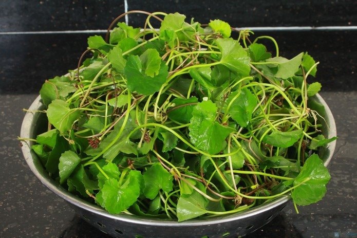 4 Lọai rau dân dã Việt Nam bổ như sâm giúp tăng cường sức khỏe