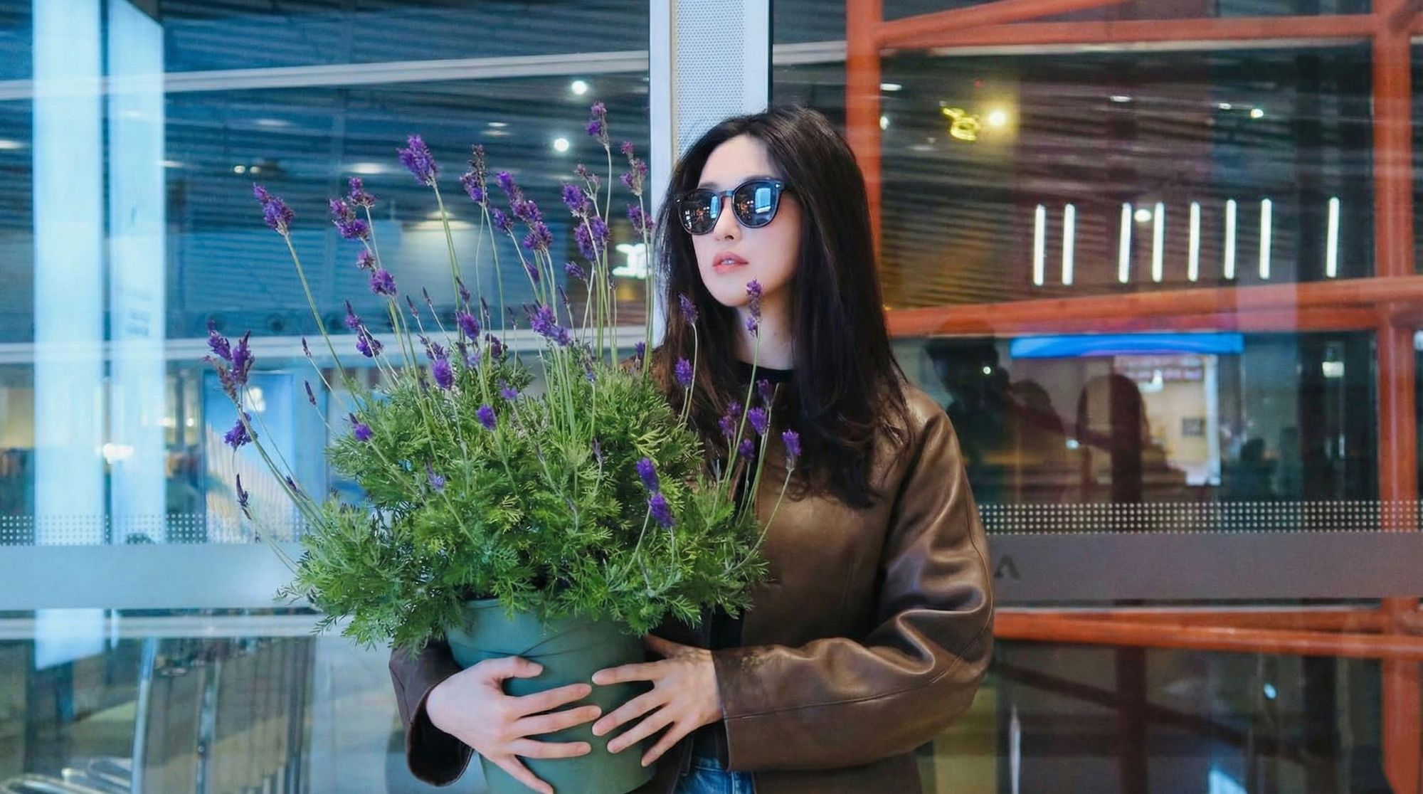 Loài hoa đáng trồng nhất ban công dịp cuối năm: Vừa thơm phòng, ngủ ngon lại âm thầm hút vận may, xả xui cực tốt