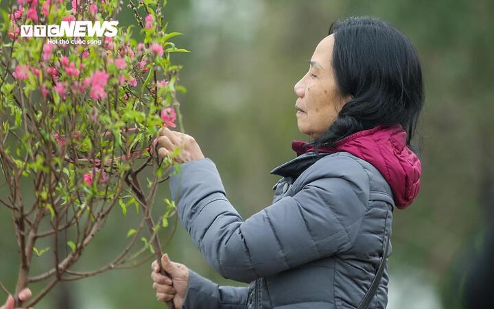 Miền Bắc trải qua mùa đông ấm hiếm thấy, Tết Nguyên đán ít rét đậm