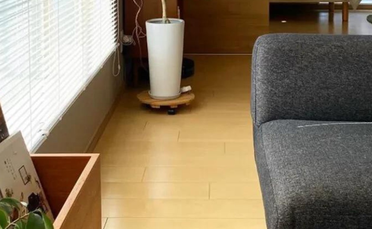 Một ngôi nhà có thể sạch đến mức nào? Bước vào căn hộ 42m² của người phụ nữ 53 tuổi này, tôi chỉ muốn… về dọn lại nhà mình ngay lập tức