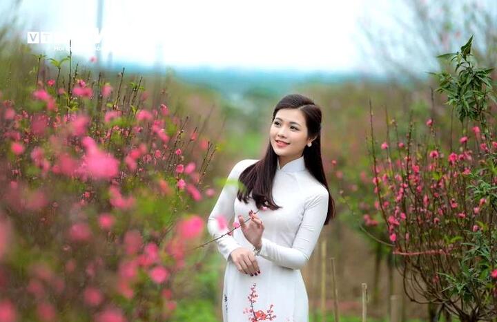 Dự báo Thời tiết Tết Nguyên đán 2026 miền Bắc đón không khí lạnh và mưa