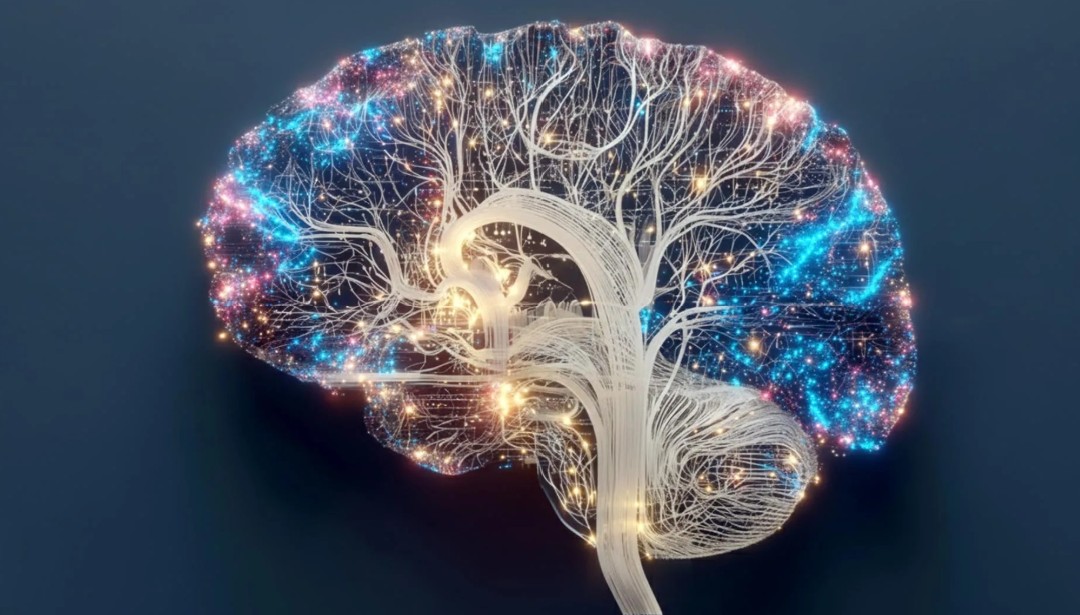 Nghiên cứu Mỹ phát hiện điều kỳ lạ xảy ra khi thiếu ngủ