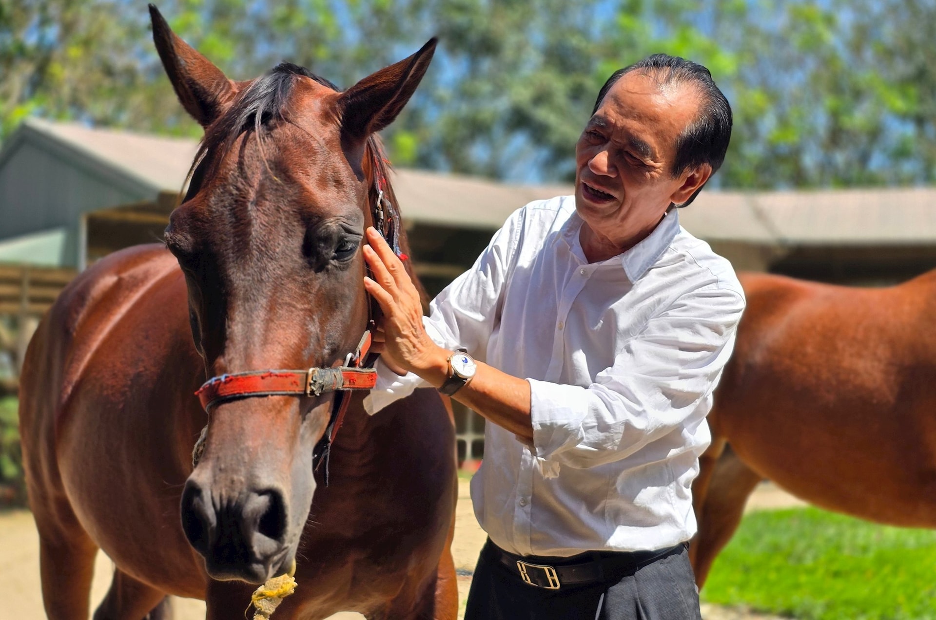 Tham vọng của Tỷ phú Trần Bá Dương Với 42 dự án bất động sản năm 2026