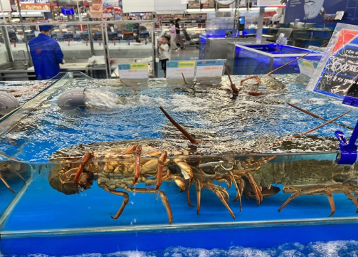 Việt Nam vừa đón một tin cực vui từ Trung Quốc