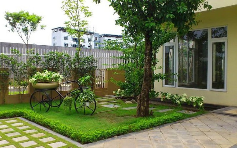 5 loại cây đừng trồng trước cửa nhà