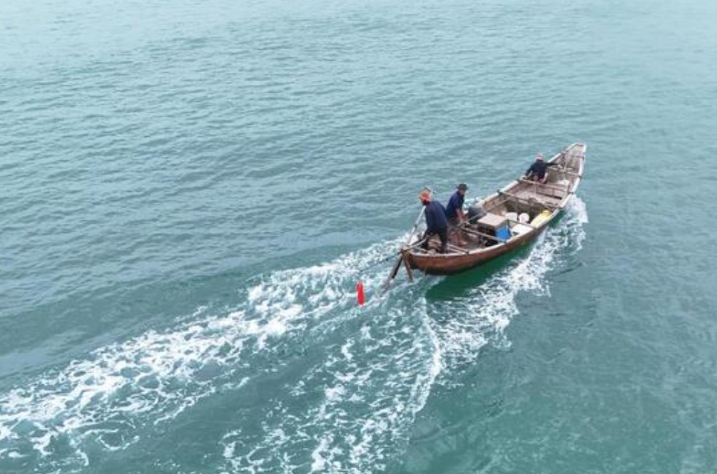 Ngư dân Quảng Ngãi trúng đậm ốc gạo , thu nhập triệu đồng mỗi chuyến biển