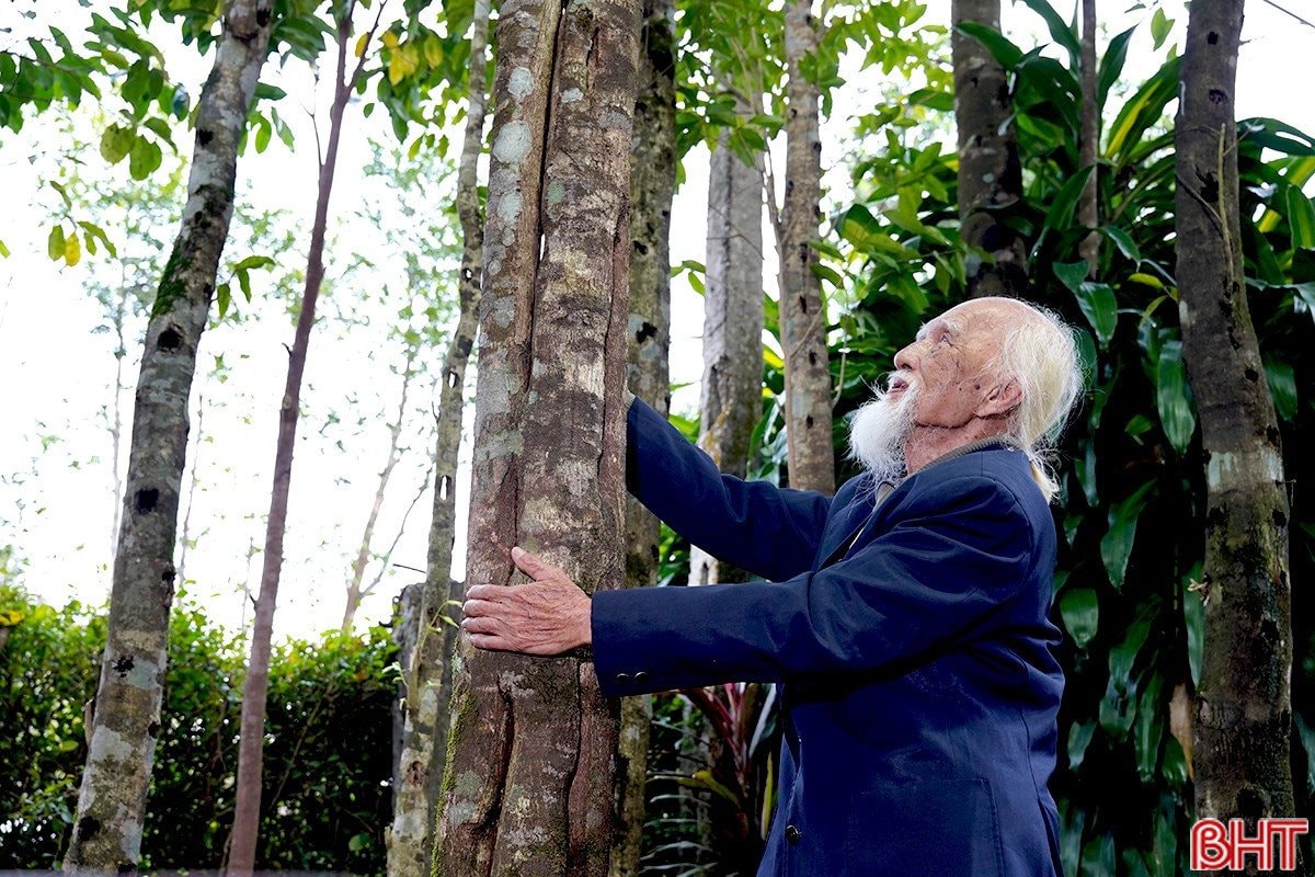 Cụ ông 98 tuổi biến gỗ mục thành vàng , tạo ra 200 tỷ cho miền Trung