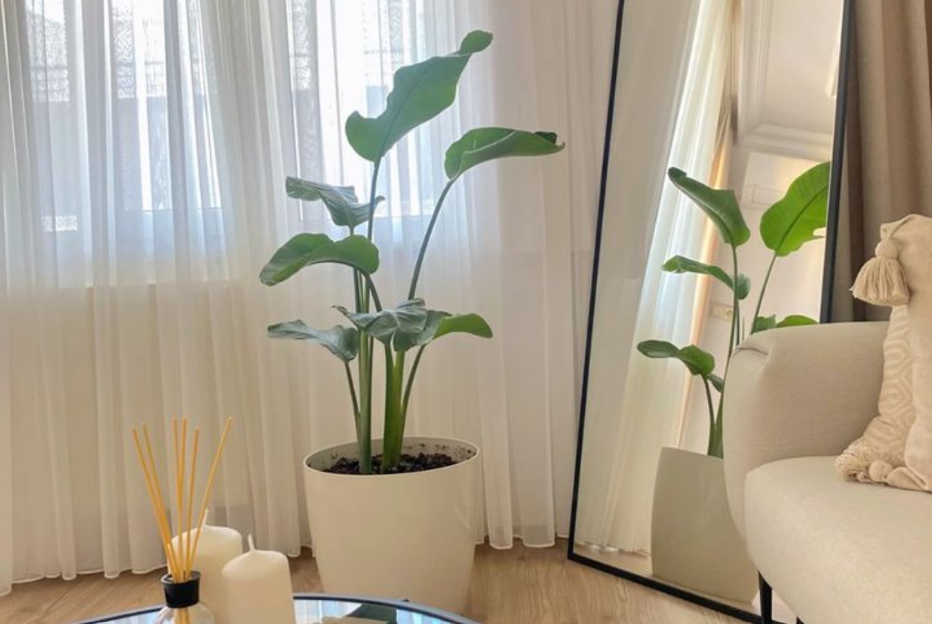 10 năm ở thuê dạy tôi 5 bài học “xương máu”, lúc đi mua nhà mới thấy thấm thía: Nếu không biết chắc chắn giờ hối hận