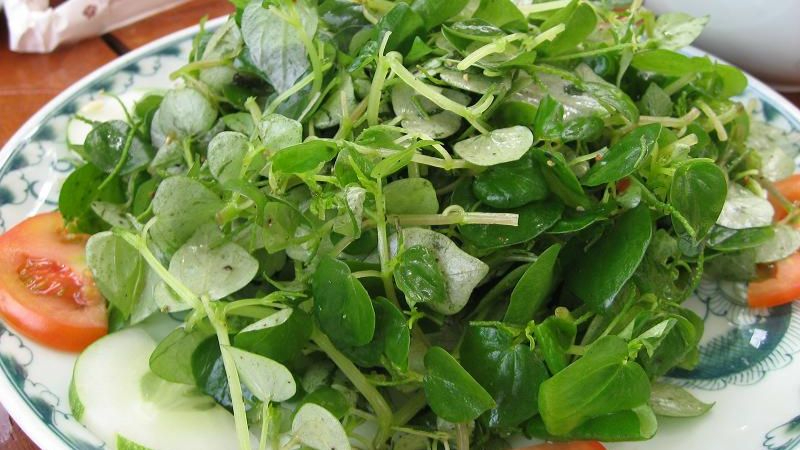 Cây rau dại trở thành đặc sản thảo dược qúy giá , giá cao hơn thịt năm 2026