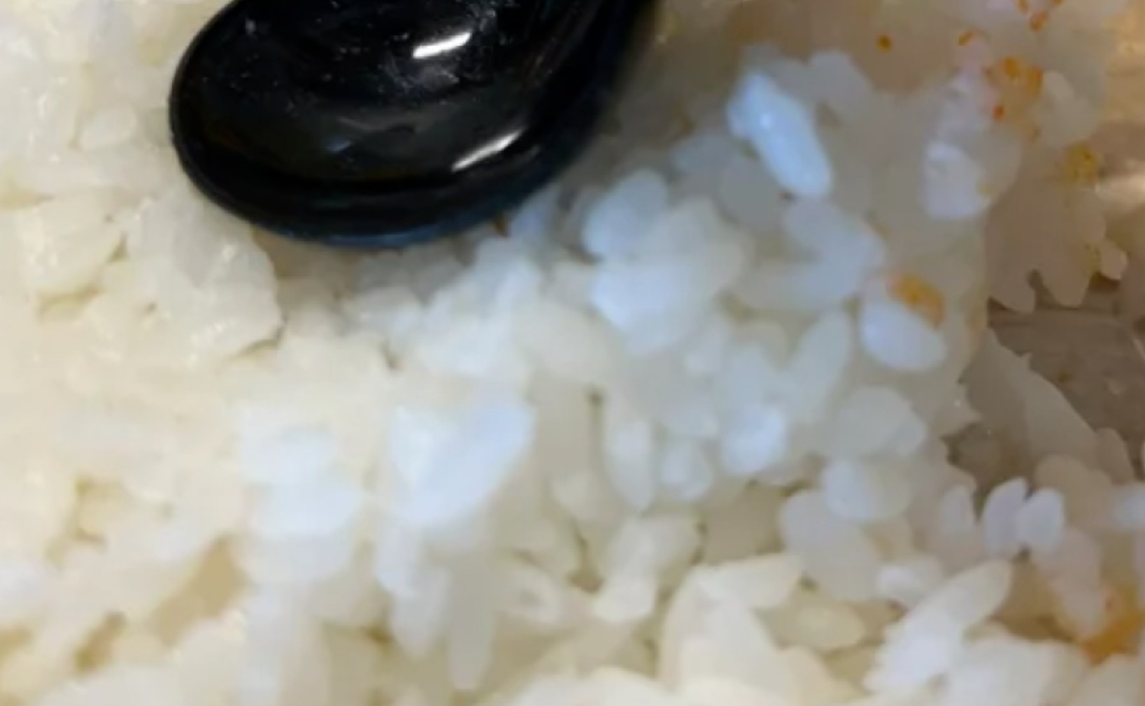 4 thứ nhà bạn hay dùng đi dùng lại: Thật ra bẩn kinh khủng, chuyên gia khuyên VỨT NGAY