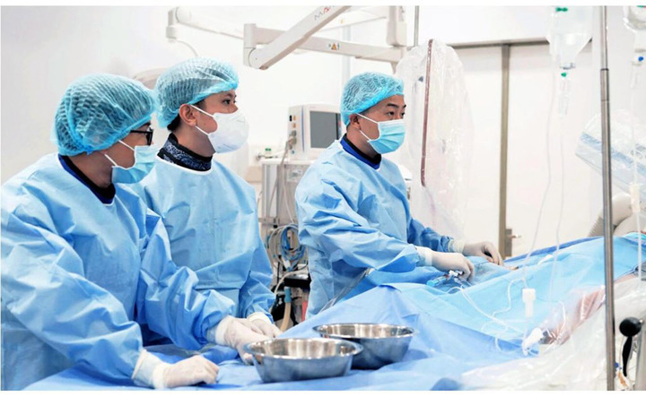 ca-cap-cuu-dac-biet-cua-bac-si-viet-nam-duoc-quoc-te-tham-khao-2555.html