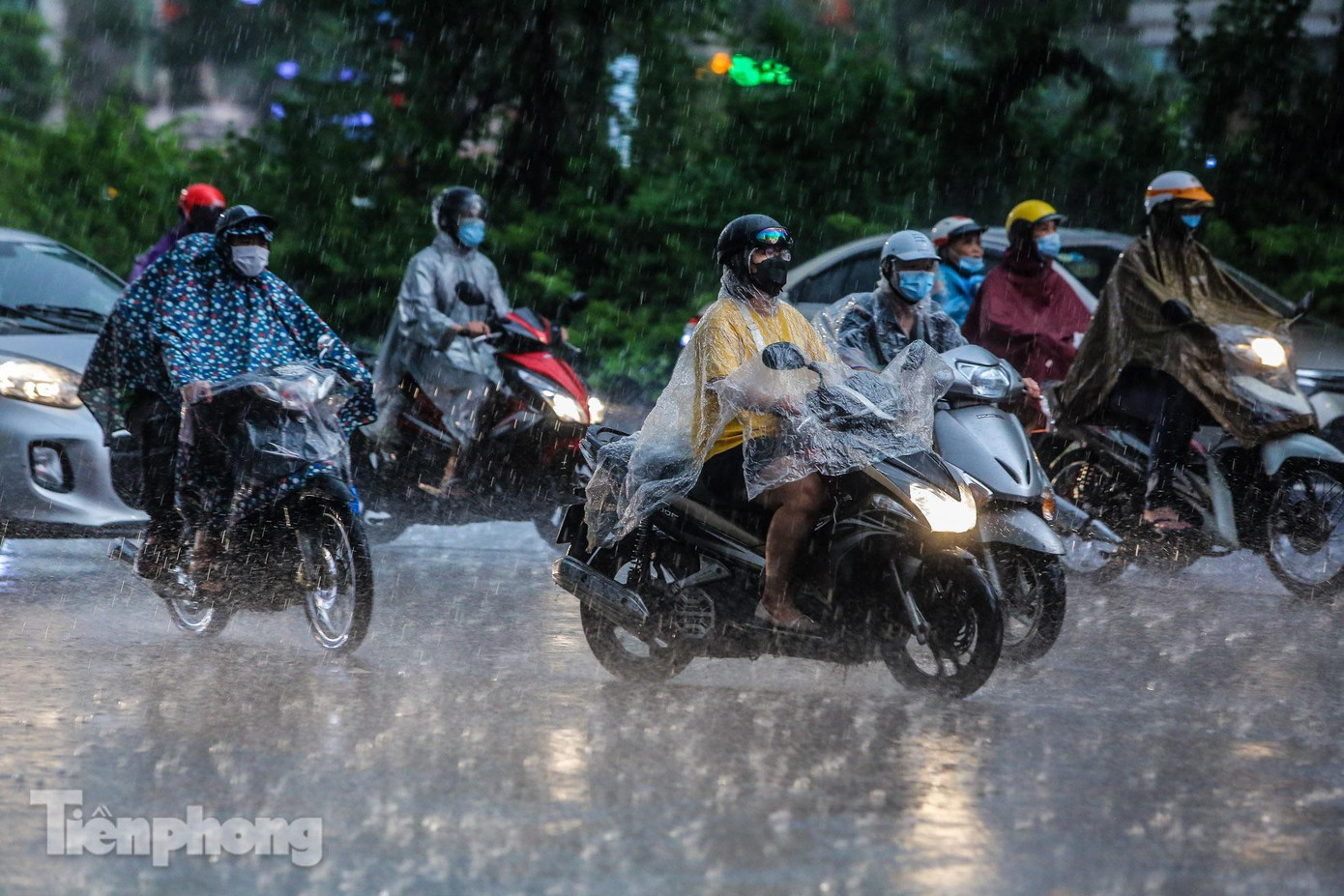 mien-bac-mua-to-va-nang-hung-vao-cuoi-thang-3-nam-2026-2563.html