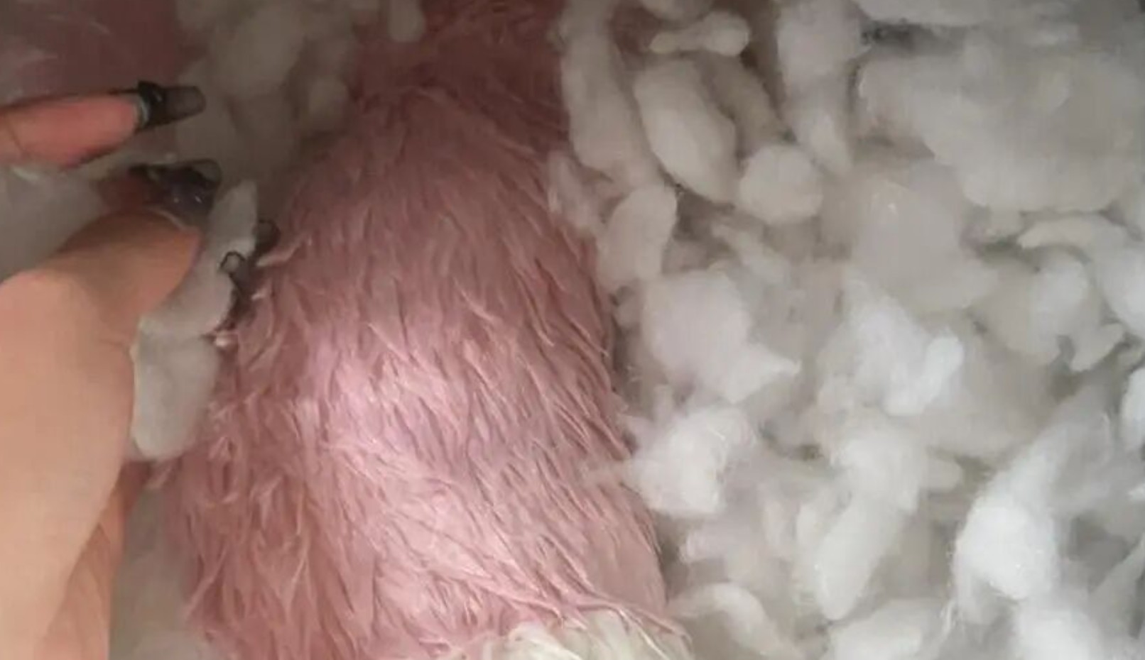 Sống 40 năm mới biết: Tuyệt đối không cho 8 thứ này vào máy giặt, không chỉ hỏng đồ mà còn “giết chết” máy rất nhanh