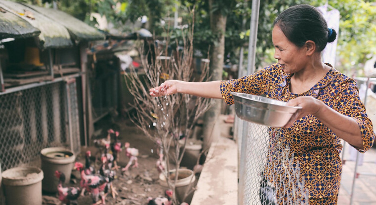 70 % Người Việt dự kiến làm việc sau nghỉ hưu để bảo đảm tài chính và chất lượng sống