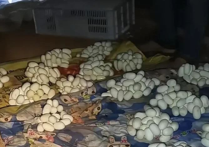 Mở cửa căn phòng trống, nam thanh niên chứng kiến cảnh tượng không thể tin nổi