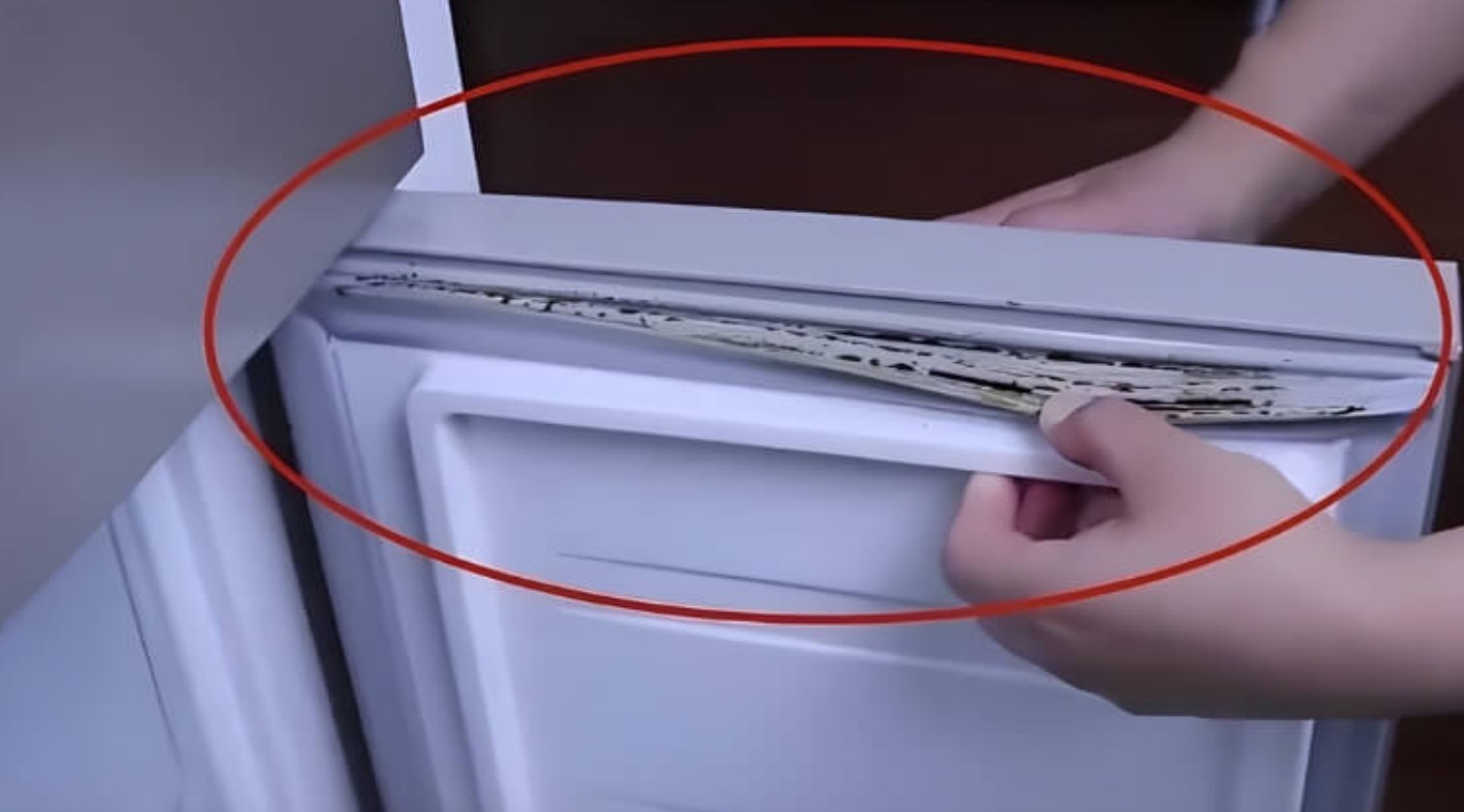 Kẹp 1 tờ giấy vào tủ lạnh, tôi hối hận vì 30 năm cuộc đời chưa biết cách này sớm hơn